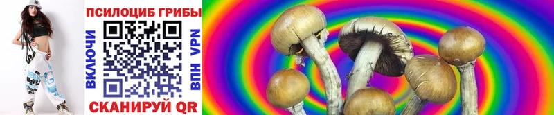 OMG сайт  это официальный сайт  Псилоцибиновые грибы прущие грибы  Бокситогорск 